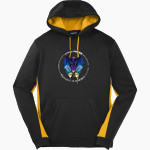 Dutchess BOCES <span class="pdp-name-mascot">Dutchess County BOCES</span> Sport-Tek Men's Sport-Wick Fleece Colorblock Hoodie Front Thumbnail