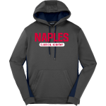 Naples Classical Academy <span class="pdp-name-mascot">Naples Classical Academy Patriots</span> Sport-Tek Men's Sport-Wick Fleece Colorblock Hoodie Front Thumbnail