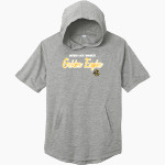 DESERT HOT SPRINGS HIGH SCHOOL GOLDEN EAGLES <span class="pdp-name-mascot">DESERT HOT SPRINGS GOLDEN EAGLES</span> Sport-Tek Men's PosiCharge Tri-Blend Wicking Short Sleeve Hoodie Front Thumbnail