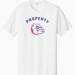 BEMENT MIDDLE SCHOOL BULLDOGS Sport-Tek Men's Halftime Short-Sleeve Raglan T-Shirt Front Thumbnail