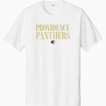 Providence Panthers <span class="pdp-name-mascot">Providence Panthers</span> Sport-Tek Men's Halftime Short-Sleeve Raglan T-Shirt Front Thumbnail