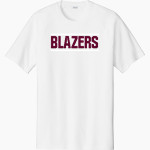 NEW Lutheran BLAZERS <span class="pdp-name-mascot">NORTHEASTERN WI LUTHERAN BLAZERS</span> Sport-Tek Men's Halftime Short-Sleeve Raglan T-Shirt Front Thumbnail