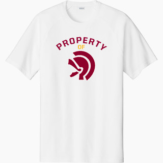 Sport-Tek Men's Halftime Short-Sleeve Raglan T-Shirt