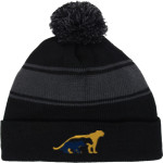 Washington Local Schools Online Store Sport-Tek Stripe Pom Pom Knit Front Thumbnail