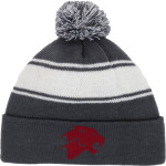 PACT Charter School Official Online Store <span class="pdp-name-mascot">Pact Charter Panthers</span> Sport-Tek Stripe Pom Pom Knit Front Thumbnail