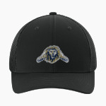 ALPHA OMEGA ACADEMY LIONS <span class="pdp-name-mascot">ALPHA OMEGA ACADEMY LIONS</span> Sport-Tek Stretch-Tek Mesh Back Cap Front Thumbnail