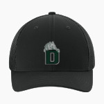 Delphian Dragons <span class="pdp-name-mascot">Delphian Dragons</span> Sport-Tek Stretch-Tek Mesh Back Cap Front Thumbnail