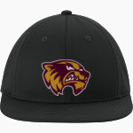 Au Gres-Sims HIGH SCHOOL WOLVERINES <span class="pdp-name-mascot">AU GRES - SIMS WOLVERINES</span> Sport-Tek Pro-Cut Stretch-Tek Cap Front Thumbnail