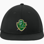 NOTRE DAME HIGH SCHOOL GREEN KNIGHTS Sport-Tek Pro-Cut Stretch-Tek Cap Front Thumbnail