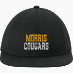 University of Minnesota Morris Cougars <span class="pdp-name-mascot">University of Minnesota Morris Cougars</span> Sport-Tek Pro-Cut Stretch-Tek Cap Front Thumbnail