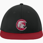 Central Eagles <span class="pdp-name-mascot">Central Eagles</span> Sport-Tek Pro-Cut Stretch-Tek Cap Front Thumbnail
