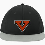Jackson Pathways Vikings <span class="pdp-name-mascot">Jackson Pathways Vikings</span> Sport-Tek Pro-Cut Stretch-Tek Cap Front Thumbnail