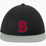 Benedictine University Mesa Redhawks <span class="pdp-name-mascot">Benedictine University Redhawks</span> Sport-Tek Pro-Cut Stretch-Tek Cap Front Thumbnail