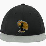 Broadway Gobblers Gobblers <span class="pdp-name-mascot">Broadway Gobblers</span> Sport-Tek Pro-Cut Stretch-Tek Cap Front Thumbnail