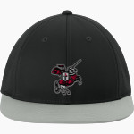 Manitowoc Lutheran Lancers <span class="pdp-name-mascot">Manitowoc Lutheran High School Lancers</span> Sport-Tek Pro-Cut Stretch-Tek Cap Front Thumbnail