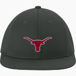 DOVER HIGH SCHOOL LONGHORNS Sport-Tek Pro-Cut Stretch-Tek Cap Front Thumbnail