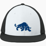 MOUNTAIN VIEW HIGH SCHOOL TOROS <span class="pdp-name-mascot">MOUNTAIN VIEW TOROS</span> Sport-Tek Pro-Cut Stretch-Tek Cap Front Thumbnail