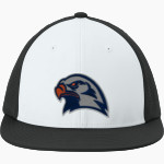 FIELDSTON SCHOOL EAGLES <span class="pdp-name-mascot">FIELDSTON EAGLES</span> Sport-Tek Pro-Cut Stretch-Tek Cap Front Thumbnail