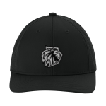 Park Elementary Lions <span class="pdp-name-mascot">Park Elementary Lions</span> Sport-Tek Pro-Cut Adjustable Cap Front Thumbnail