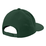 JAMESTOWN HIGH SCHOOL EAGLES <span class="pdp-name-mascot">JAMESTOWN EAGLES</span> Sport-Tek Pro-Cut Adjustable Cap Back Thumbnail