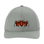 Tech High School Tigers <span class="pdp-name-mascot">Tech High School</span> Sport-Tek Pro-Cut Adjustable Cap Front Thumbnail
