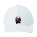 Paideia High Bears <span class="pdp-name-mascot">Paideia High School Bears</span> Sport-Tek Pro-Cut Adjustable Cap Front Thumbnail