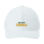 Bishop Guertin Cardinals <span class="pdp-name-mascot">Bishop Guertin Cardinals</span> Sport-Tek Pro-Cut Adjustable Cap Front Thumbnail
