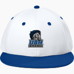 UAH Chargers <span class="pdp-name-mascot">University of Alabama Chargers</span> Sport-Tek Impact Mesh Stretch-Tek Cap Front Thumbnail