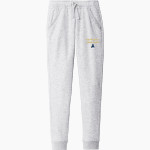 APALACHEE HIGH SCHOOL WILDCATS <span class="pdp-name-mascot">APALACHEE WILDCATS</span> Sport-Tek Men's Drive Fleece Jogger Front Thumbnail