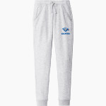 VOLUNTEER HIGH SCHOOL FALCONS <span class="pdp-name-mascot">VOLUNTEER FALCONS</span> Sport-Tek Men's Drive Fleece Jogger Front Thumbnail