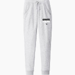 HERON LAKE-OKABENA Coyotes <span class="pdp-name-mascot">HERON LAKE - OKABENA Coyotes</span> Sport-Tek Men's Drive Fleece Jogger Front Thumbnail