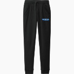 Bartram Trail Bears Sport-Tek Men's Drive Fleece Jogger Front Thumbnail