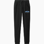 Henry Ford Hawks <span class="pdp-name-mascot">Henry Ford College Hawks</span> Sport-Tek Men's Drive Fleece Jogger Front Thumbnail