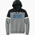 OCRACOKE SCHOOL DOLPHINS <span class="pdp-name-mascot">OCRACOKE DOLPHINS</span> Sport-Tek Men's Drive Fleece Colorblock Hoodie Front Thumbnail