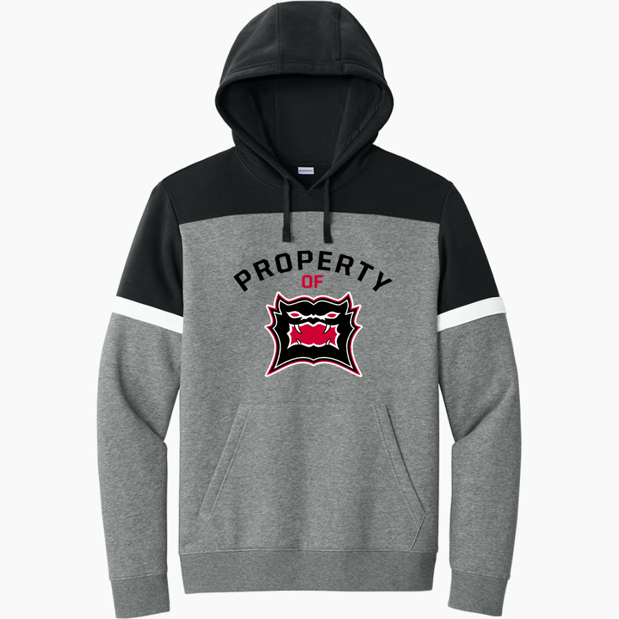 SPENCERVILLE HIGH SCHOOL BEARCATS <span class="pdp-name-mascot">SPENCERVILLE BEARCATS</span> Sport-Tek Men's Drive Fleece Colorblock Hoodie