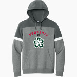 APIS Hawks <span class="pdp-name-mascot">Asia Pacific International GreenHawks</span> Sport-Tek Men's Drive Fleece Colorblock Hoodie Front Thumbnail