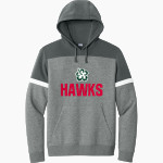 APIS Hawks Sport-Tek Men's Drive Fleece Colorblock Hoodie Front Thumbnail