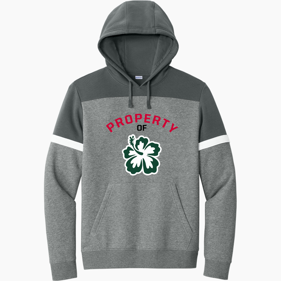 APIS Hawks <span class="pdp-name-mascot">Asia Pacific International GreenHawks</span> Sport-Tek Men's Drive Fleece Colorblock Hoodie