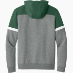 AZ Compass DRAGONS <span class="pdp-name-mascot">Compass Prep DRAGONS</span> Sport-Tek Men's Drive Fleece Colorblock Hoodie Back Thumbnail