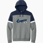 Alexander Central Cougars <span class="pdp-name-mascot">Alexander Central Cougars</span> Sport-Tek Men's Drive Fleece Colorblock Hoodie Front Thumbnail