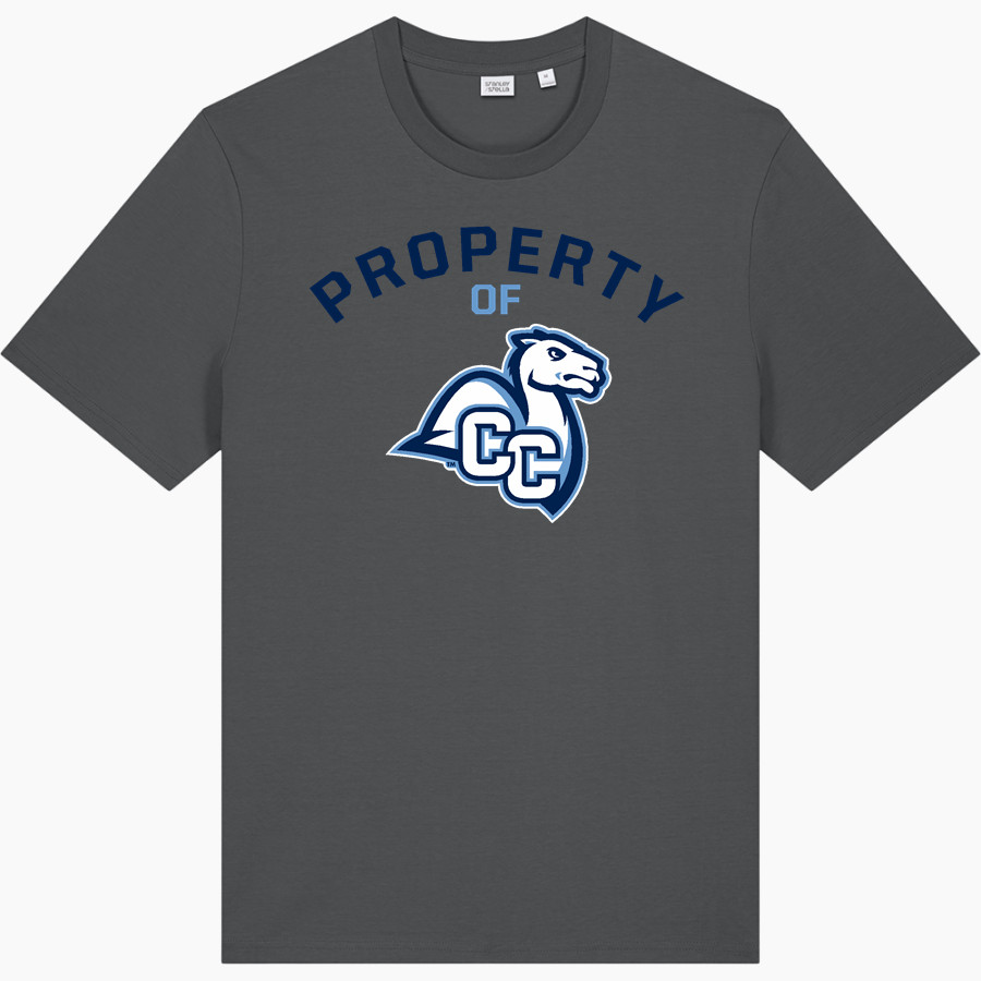 Connecticut College Camels <span class="pdp-name-mascot">Connecticut College Camels</span> Stanley/Stella Unisex Creator 2.0 Tee