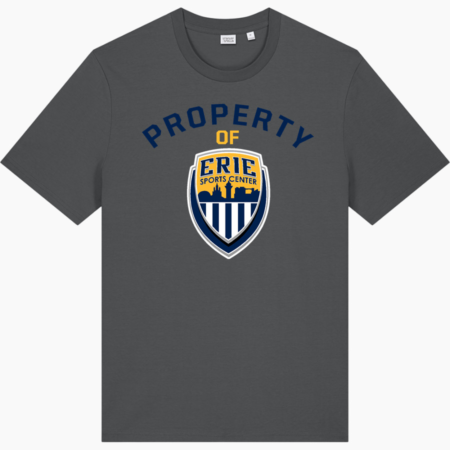 Erie Sports Center <span class="pdp-name-mascot">Erie Sports Center</span> Stanley/Stella Unisex Creator 2.0 Tee