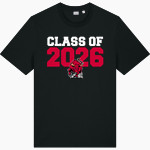 DOVER HIGH SCHOOL LONGHORNS Stanley/Stella Unisex Creator 2.0 Tee Front Thumbnail