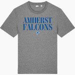 AMHERST HIGH SCHOOL FALCONS <span class="pdp-name-mascot">AMHERST FALCONS</span> Stanley/Stella Unisex Creator 2.0 Tee Front Thumbnail