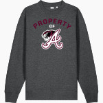 ARP HIGH SCHOOL TIGERS Stanley/Stella Unisex Changer 2.0 Crewneck Sweatshirt Front Thumbnail