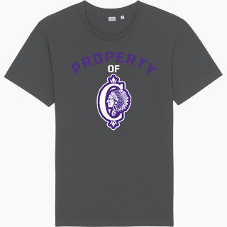 Stanley/Stella Unisex Rocker Tee