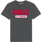 Swegle Eagles <span class="pdp-name-mascot">Swegle Elementary School Eagles</span> Stanley/Stella Unisex Rocker Tee Front Thumbnail