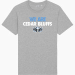 Cedar Bluffs Wildcats <span class="pdp-name-mascot">Cedar Bluffs Wildcats</span> Stanley/Stella Unisex Rocker Tee Front Thumbnail