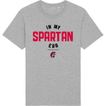 SOMERSET HIGH SCHOOL SPARTANS <span class="pdp-name-mascot">SOMERSET SPARTANS</span> Stanley/Stella Unisex Rocker Tee Front Thumbnail