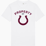 OWEN warhorses mountain tough...valley strong <span class="pdp-name-mascot">CHARLES D OWEN WARHORSES</span> Stanley/Stella Unisex Rocker Tee Front Thumbnail